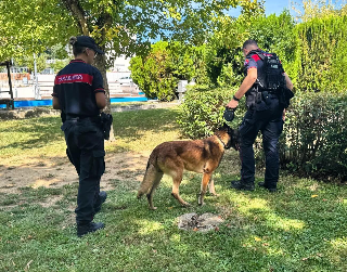Jesi – Controlli a largo raggio dei carabinieri, attivissimo il cane antidroga One